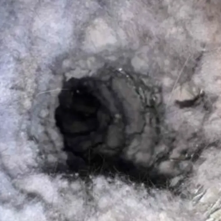 The inside of a dryer vent duct, matted with lint until only a small opening is left